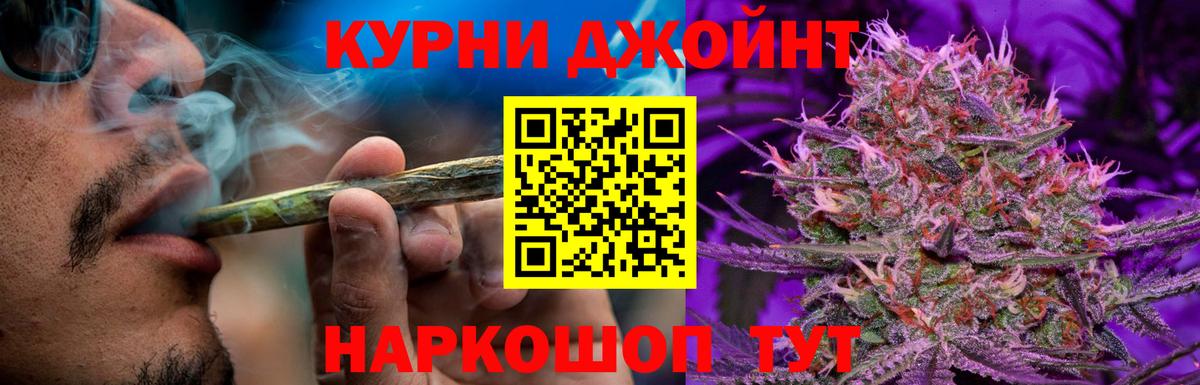 Шишки марихуана сатива Новотроицк